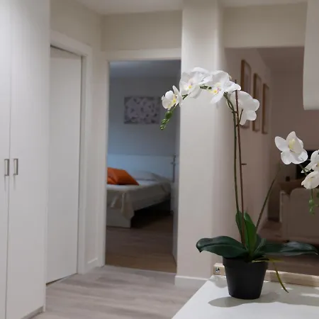 Pure Living In Oerlikon