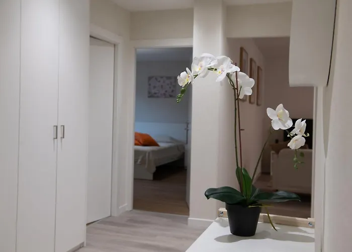 Pure Living In Oerlikon