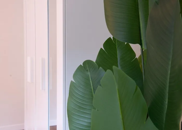 Appartement Pure Living In Oerlikon Zürich