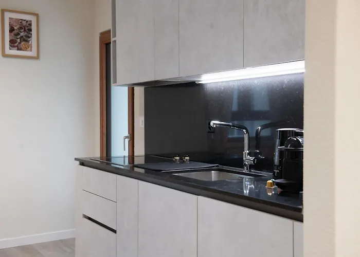 Pure Living In Oerlikon Appartement *