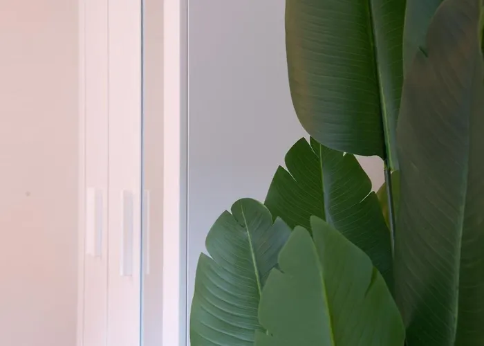 Pure Living In Oerlikon