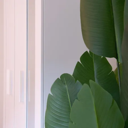 Pure Living In Oerlikon