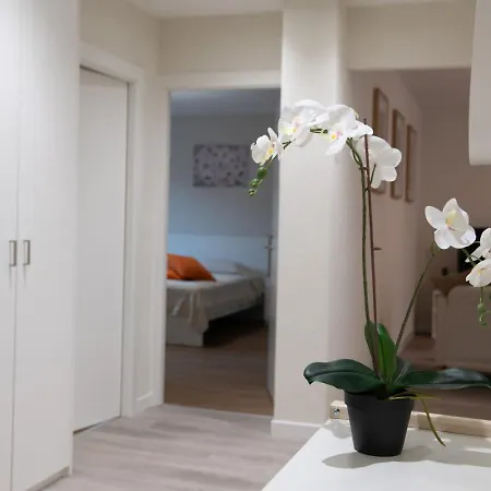 Pure Living In Oerlikon